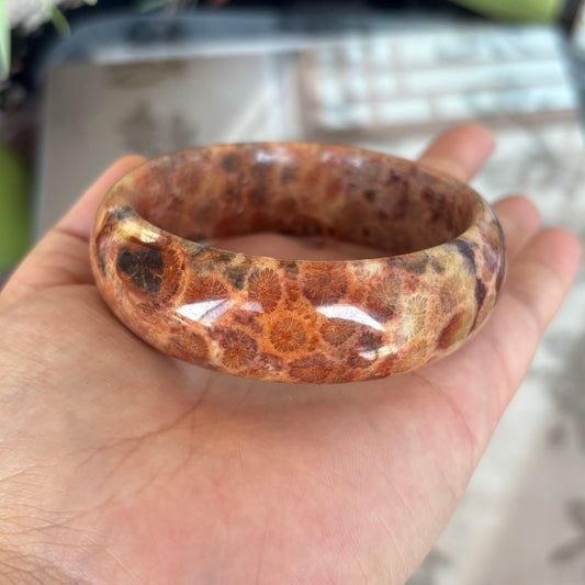Natural Orange Fossil Coral Bangle – Ancient Ocean Blooms on Your Wrist, Just $35