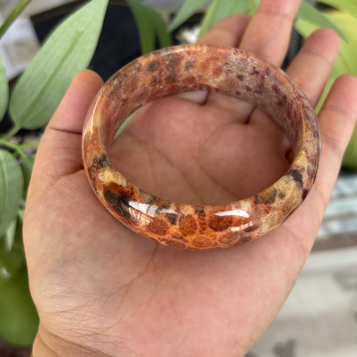 Natural Orange Fossil Coral Bangle – Ancient Ocean Blooms on Your Wrist, Just $35